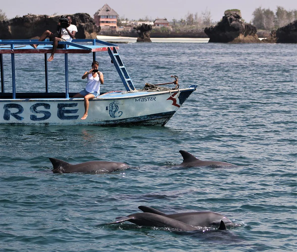 Dolphin watching boat tour in Watamu Marine National Park Kenya